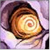 No unread posts